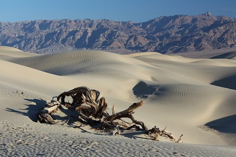 Paesaggio desertico negli Stati Uniti