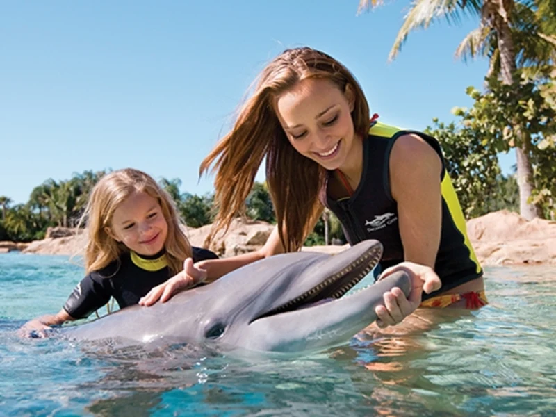 Discovery-Cove-Orlando