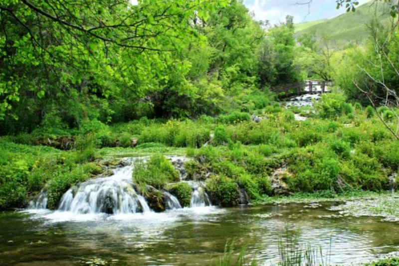 Cascade Springs, Utah, USA